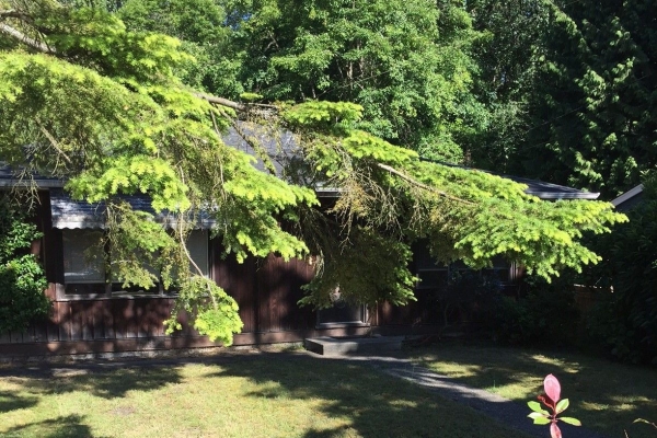 1752 Fell Avenue North Vancouver B.C