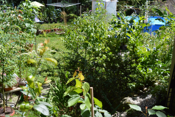 1804 Fell Avenue North Vancouver B.C